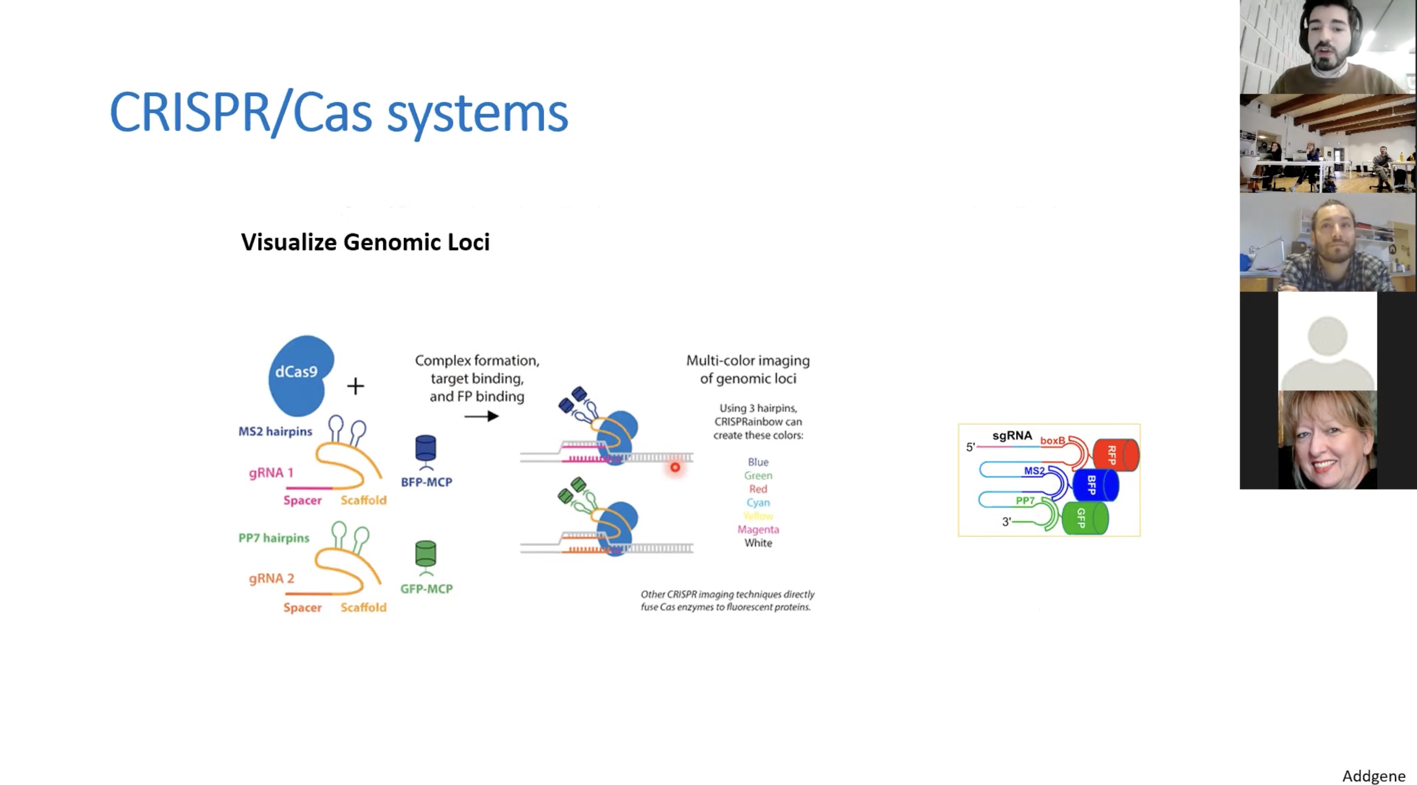 CRISPR_lec_1